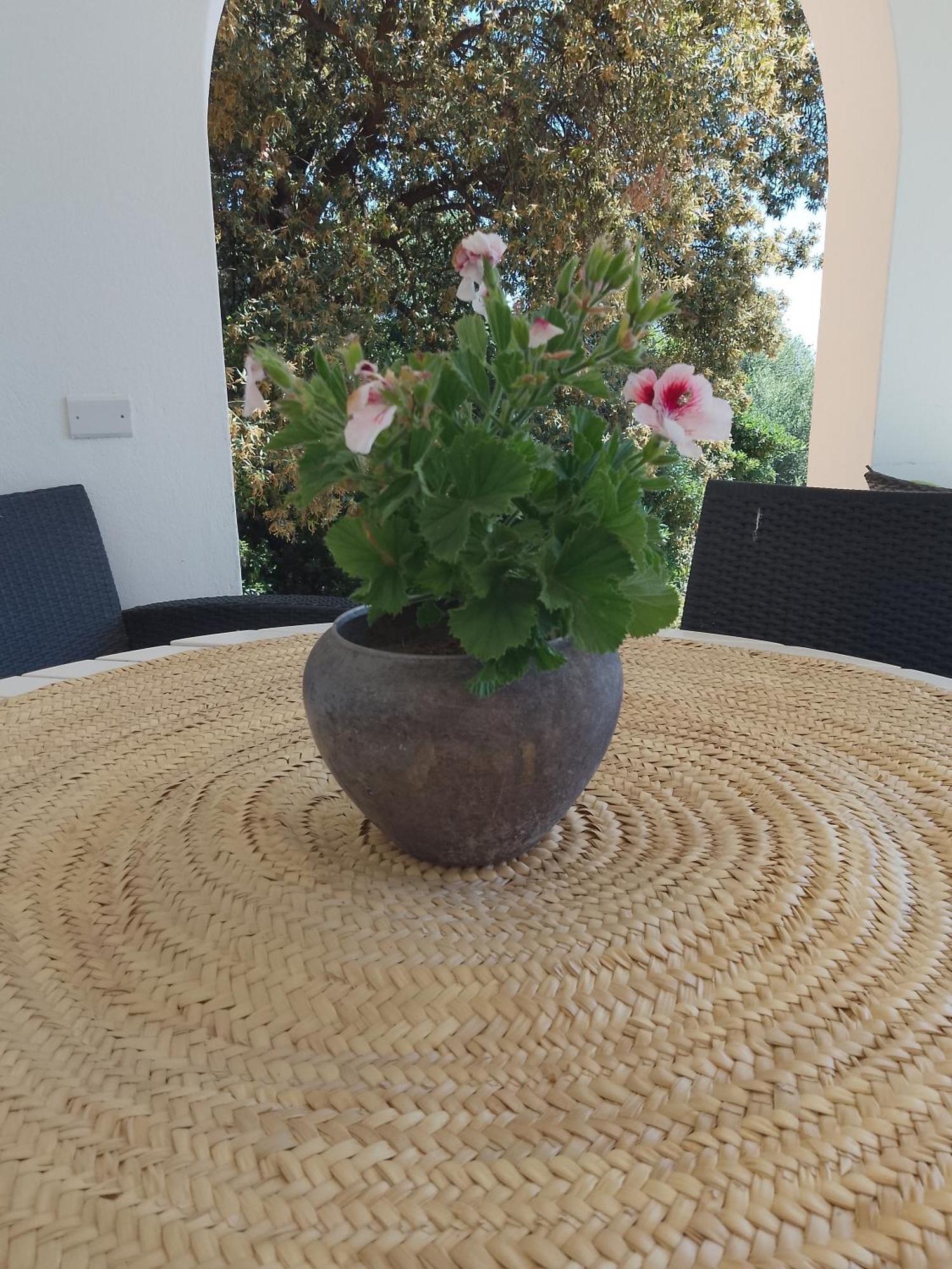 B&B Bentos Pula Di Lucarelli S Kültér fotó